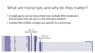 Introduction to Genome Builds and Transcripts