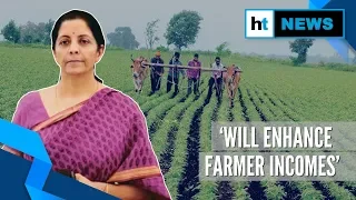 Budget 2020: Sitharaman announces 16 point action plan for farmers’ welfare
