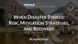 When Disaster Strikes: Risk, Mitigation Strategies, and Recovery