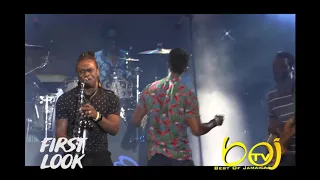 ROMAIN VIRGO @ RAIN FORREST SEA FOOD AND MUSIC FESTIVAL 2020