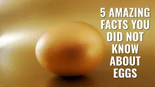 5 Amazing Facts You Did Not Know About Eggs