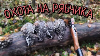 ОХОТА  НА РЯБЧИКА ОСЕНЬЮ