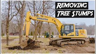 Removing Tree Stumps with Excavator | Heavy Equipment Operator