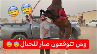 فعاليات السيسي😂😂😂😂+ثقة الخيال بحصانه😍😍