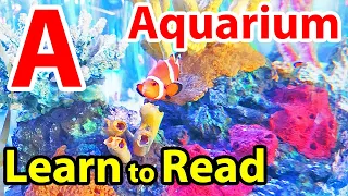 Phonics ABC SONG English Alphabet Educational Videos for Kids Kindergarten Learning Preschool Videos