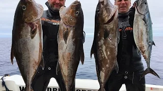 АЗОРЫ 2016. Серия 2. Sperafishing in the Azores Pico Islands 2016. Фильм Олега Ляденко