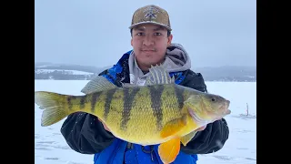 Ice fishing For HUGE PERCH! Upstate NY
