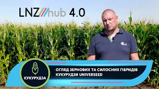 Огляд зернових та силосних гібридів кукурудзи UNIVERSEED | LNZ Hub 4.0