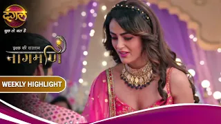 Ishq Ki Dastaan Naagmani | Jyoti की चाल होगी क़ामयाब? |  Weekly Highlights | Dangal TV