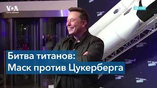 Маск против Цукерберга: у кого из миллиардеров больше шансов одержать победу в поединке?