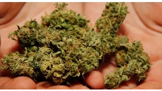 US Govt Quietly Admits Marijuana Could Help Fight Brain Tumors