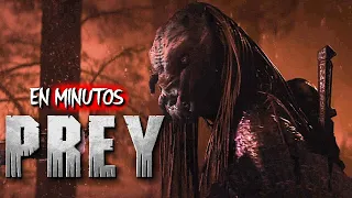 Predator: Prey (2022) RESUMEN EN 15 MINUTOS