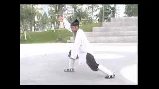 18 forms Dragon Gate Taijiquan Nourishing Life  Li Fa Jun