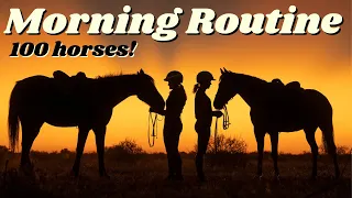 Morning Routine with 100 Horses! | This Esme AD