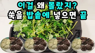 💚쑥인절미 방앗간NO 절구NO 집에서 무조건 이렇게 만드세요 한통 가득 만들어도 남아나질 않습니다