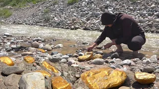 Digging up Huge Nuggets, Mining Various Gold, and Million Dollar Finds!