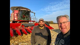 Harvesting Corn In A Combine | Case IH 8240