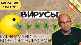 Вирусы. Биология 5, 6 класс. Как атакуют вирусы гриппа человека? Строение, отличие от бактерий. ЕГЭ