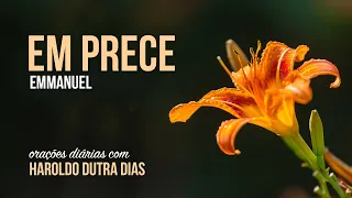 EM PRECE - Haroldo Dutra Dias - EMMANUEL - Chico Xavier - Oraçõe Diárias