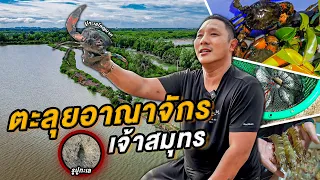 ตะลุยอาณาจักรเจ้าสมุทร ที่สุดของวัตถุดิบอันล้ำค่า  ] Jaosamut