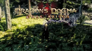 Dragon's Dogma | Skills Compilation