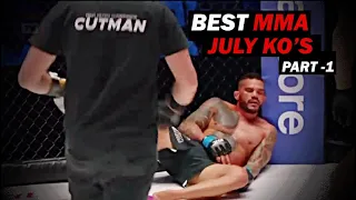 MMA's Best Knockouts of the July 2023, HD | Part 1