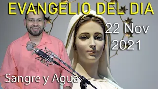 Evangelio Del Dia de Hoy - Lunes 22 Noviembre 2021- El Amor Requiere Sacrificio - Sangre y Agua