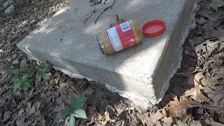 How to Attract Deer, Attract Deer With Peanut Butter, DIY, Easy!