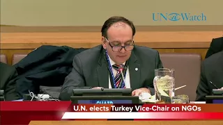 U.N. elects Turkey's Erdogan regime Vice-Chair of Committee on NGOs