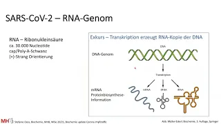 Online Vortrag Biochemie Update Corona Impfstoffe