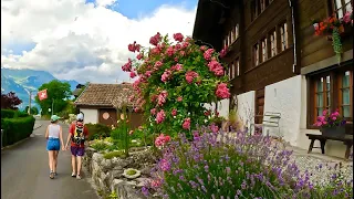 Peaceful Walk In Swiss Village Iseltwald , Switzerland 🇨🇭Swiss Mountain View