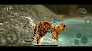 New game! Ult tiger sim 2.Tiger vs wooly rhino