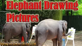 Elephant Drawing Pictures at Safari World Bangkok Thailand