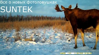 Всё что надо знать о фотоловушках SUNTEK