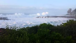 Monster Waves at Shark's Cove on the North Shore of Oahu, Hawaii 1-15-16