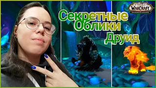 Все Секретные Облики на Друида и Получение Огненной Кошки // World of Warcraft Shadowlands