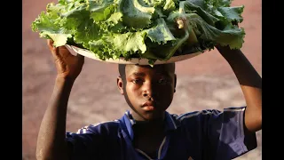 Bouzum Fair and agricultural project in Central African Republic