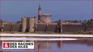 Saint Louis et les remparts d'Aigues-Mortes