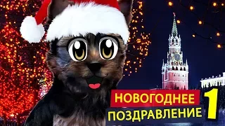 ПОЗДРАВЛЕНИЕ С НОВЫМ ГОДОМ от СОБАЧКИ ПУПСИ ! КОТ МАЛЫШ И КОШКА МУРКА Ждут новый год 2018 Год Собаки