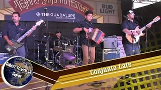 Conjunto Cats at The Tejano Conjunto Festival 2016