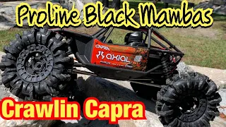 Capra Proline Black Mamba Tires!!