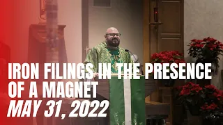 Iron Filings in the Presence of a Magnet - Fr. Patrick Schultz