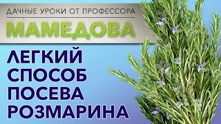 Легкий способ посева