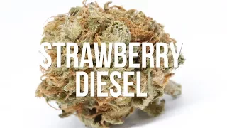 Strawberry Diesel Strain Review