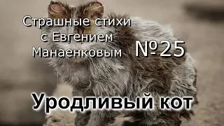 Страшные стихи с Евгением Манаенковым №25 УРОДЛИВЫЙ КОТ