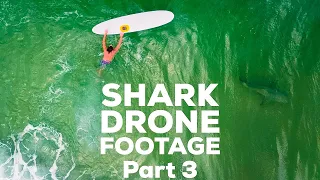 Sharks On A Florida Beach. Cool Shark Drone Footage For The Shark Lover. (Shark Trap Beat).