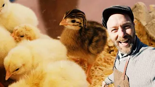 How to Set up an Indoor Chicken Brooder with Justin Rhodes