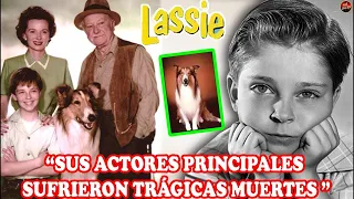 ASÍ LUCEN… LOS ACTORES DE “LASSIE” SERIE DE 1954, EN LA ACTUALIDAD