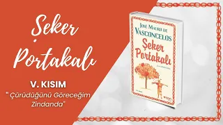 Şeker Portakalı Sesli Kitap - 5. BÖLÜM - Jose Mauro de Vasconcelos