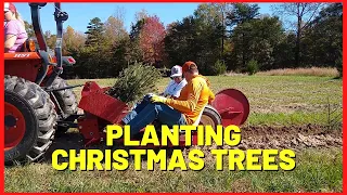 #194 Planting Christmas Trees With Mechanical Transplanter